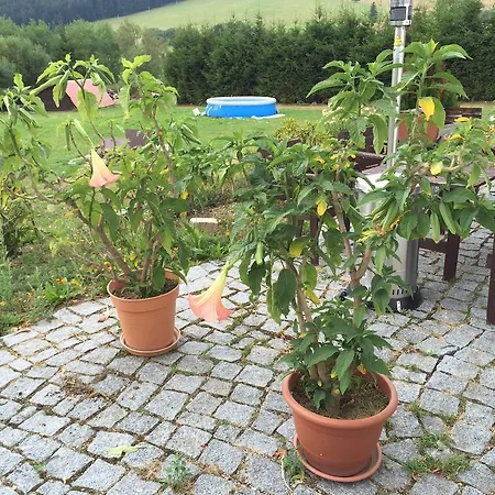 Gasthuis Tetrivek 3*