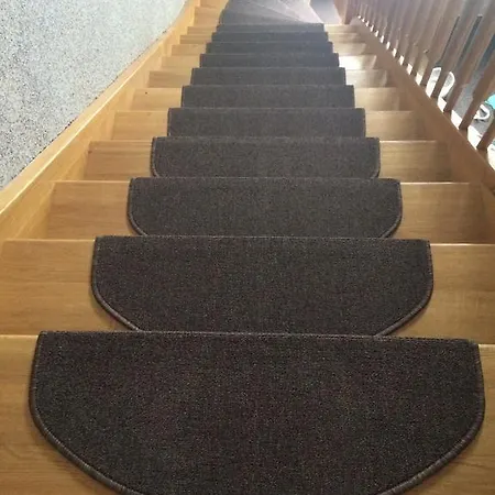 Tetřívek Nove Hute