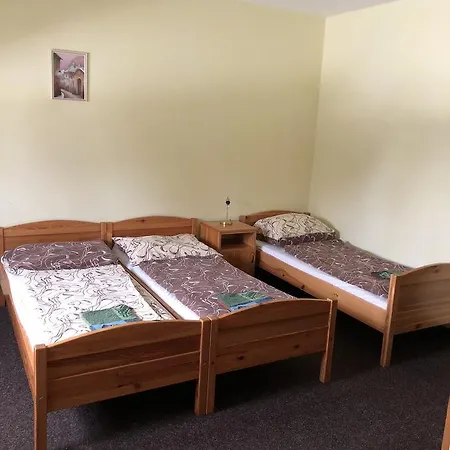 Vendégház Tetrivek 3*